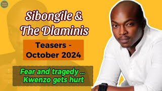 Sibongile amp The Dlaminis Teasers October 2024 Drama Unfolds on Mzansi Wethu [upl. by Victoria]