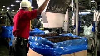 Video Raisin Processing and Packaging  How It Works [upl. by Adnawak795]