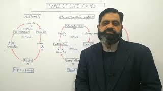 Plant Life cycles English medium profmasoodfuzail  Diplontic life cycle  Haplontic cycle [upl. by Silvana]