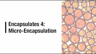 Encapsulates 4 Micro Encapsulation [upl. by Past]