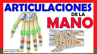 🥇 ARTICULACIONES DE LA MANO Carpianas Carpometacarpianas Metacarpofalangicas e Interfalangicas [upl. by Nairb136]