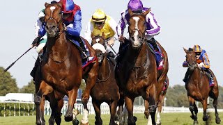 JAN BRUEGHEL wins the 2024 St Leger Stakes G1 at Doncaster [upl. by Ylrrad]