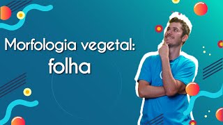 Morfologia vegetal folha  Brasil Escola [upl. by Tomkin]