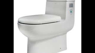 Dual Flush Toilet  One Piece White Bowl  EAGO TB351 [upl. by Ydissak791]