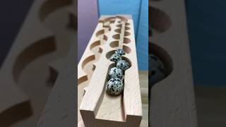 Wooden track ball rolling pigeon eggs release your imagination educationaltoys [upl. by Einhoj848]