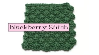 Fancy Stitch Combos  Blackberry Stitch [upl. by Spark]