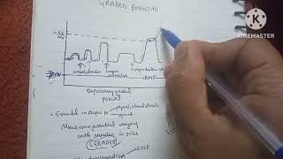 Graded potential vs action potential physiology [upl. by Eliza338]