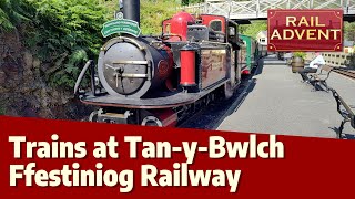 Steam trains at TanyBwlch Ffestiniog Railway 4K [upl. by Acus]