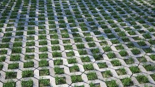 TUTORIAL Combining Concrete Paving and Grass with Forest Pack and RailClone intermediate [upl. by Spohr]