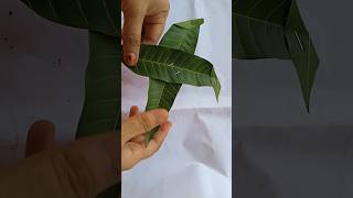 mango leaf decoration ideas shortsviralshorts [upl. by Atilem719]