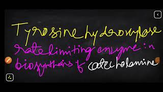 TYROSINE HYDROXYLASE rate limiting enzyme in synthesis of catecholamines [upl. by Kylynn]