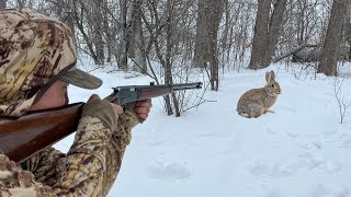 Winter Rabbit Hunting with a Lever Action 22 Rifle CATCH CLEAN COOK [upl. by Revolc]