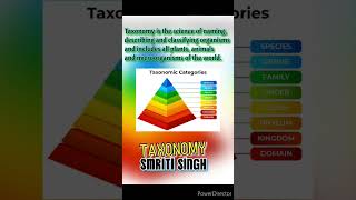 Taxonomy Define Taxonomy Definition of Taxonomy what is Taxonomy [upl. by Naji913]