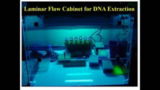 Steps of CTAB Protocol DNA Extraction [upl. by Folberth755]