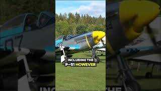 GERMAN VS AMERICAN BEAST Messerschmitt262 vs P51 [upl. by Trask]