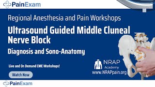 Ultrasound Guided Middle Cluneal Nerve Block and Diagnosis David Rosenblum MD NRAP PainExam [upl. by Ogu]