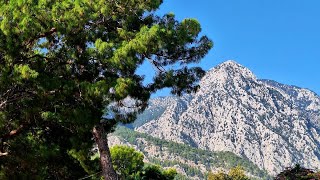 Beldibi Kemer Walk [upl. by Merriam]