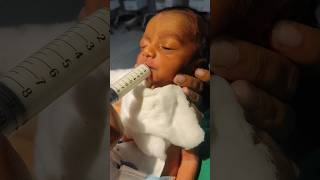 newborn baby syringe feeding🥺🍼🥺shortvideoviraltrendingyoutubeshortsbabyshortsdivyaverma2401 [upl. by Loralee]