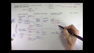 Filosofía de PLATÓN Español [upl. by Nawed]