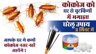 Cockroach Bhagane ka Gharelu Upay  Cockroach Marne Ka Gharelu Nuskha॥ Home Remedy Cockroach Out [upl. by Kcirdla]