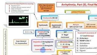 Bradycardia management [upl. by Tnomed]