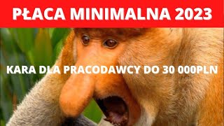 Płaca minimalna 2023  czy wiesz że pracodawcy grozi kara do 30 000 PLN [upl. by Delogu921]