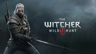 the witcher 3 épée en argent silver sword tlareg location [upl. by Erehc]