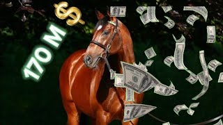 Los caballos más Caros y mejor Valorados del mundo 🏇🏇💰💰 [upl. by Billen]