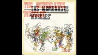 THE MEMBRANES John Peel Session 1984 [upl. by Holub]