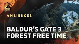 Baldurs Gate 3 Ambiences  Forest FreeTime [upl. by Ayiram]