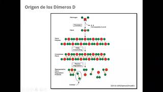 Valor de Dímero D en Covid [upl. by Aihsit]