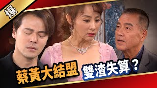 《八點檔搶先爆》愛的榮耀 EP273 蔡黃大結盟 雙渣失算？ [upl. by Ayalahs723]