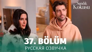 Запах сундука 37 серия на русском языке Турецкий сериал анонс [upl. by Lowenstein218]