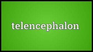 Telencephalon Meaning [upl. by Nosreh]