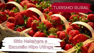 Sítio Nakahara Turismo Rural e Nipo Utinga [upl. by Brenk204]