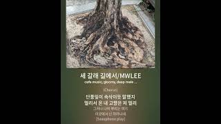 세 갈래 길에서 MWLEE 작사 AI곡 [upl. by Haugen151]