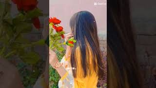 khola janala💞 song lyrics love song lyrics viralshorts viral banglasong newstatus 💞 [upl. by Christan958]