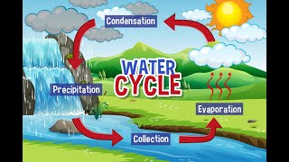 how the water cycle works  hydrological cycle explained [upl. by Ahsiliw]