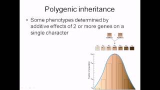 Polygenic inheritance [upl. by Geraud]