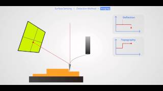 AFM Principle Basic Training [upl. by Mather]