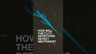 How will the DUNE detectors detect neutrinos [upl. by Shafer46]