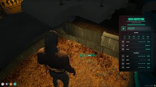 Buddha develops the perfect weed plant  NoPixel 40 [upl. by Berkeley]