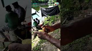 Big fish cent for Top of fishing shots youtubeshorts fish [upl. by Noyes]