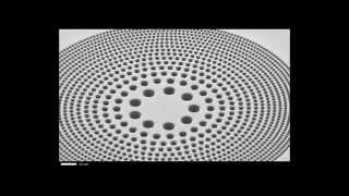 ZEISS Atlas 5 Nanofabrication of a Sieve Zone Plate [upl. by Noek]