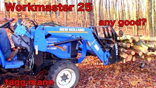 A day in the woods with the Workmaster 25 New Holland tractor [upl. by Ardena]