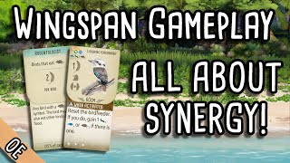 Wingspan Gameplay  All about synergy [upl. by Annadroj]