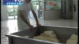 Mozzarella di bufala campana dalla stalla al caseificio [upl. by Acilef424]