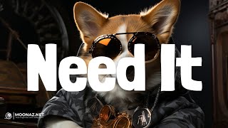 Migos  Need It  LYRICS  Put It On Da Floor Again feat Cardi B  Latto [upl. by Nelag]