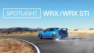 Subaru WRX and WRX STI  Spotlight [upl. by Omarr]