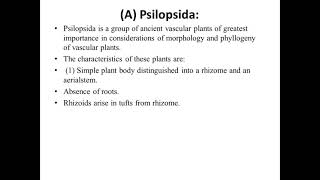 1 psilopsida intro and chracters [upl. by Diamante]